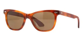 American Optical Saratoga C4 ST BNN Havana