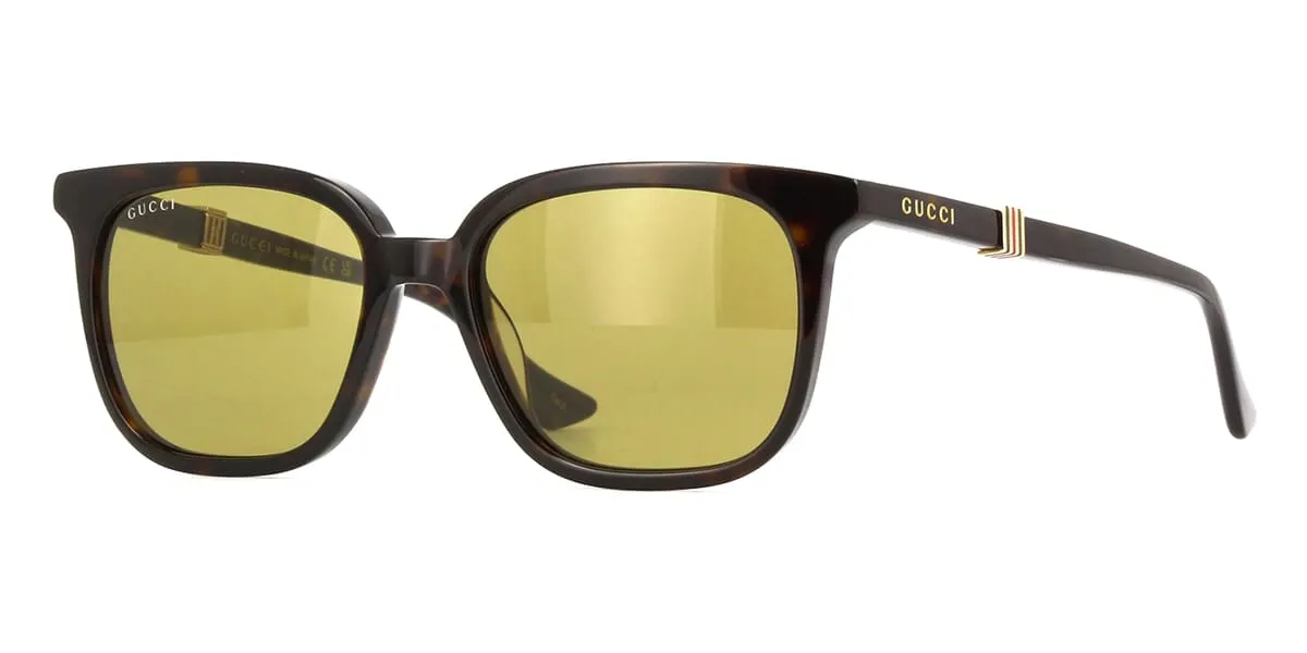 Gucci GG1493S 002